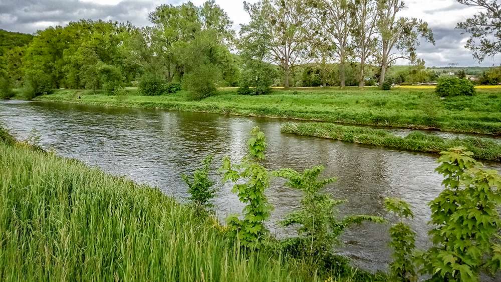 AHA hält verstärkten Schutz der Auenlandschaft zwischen Gera und Zeitz für dringend geboten 1 1000 02 Bad Koestritz Aue der Weissen Elster Blick nach Nordosten Weisse Elster flussabwaerts